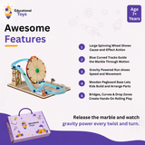 Marble Roller Coaster Building Kit
