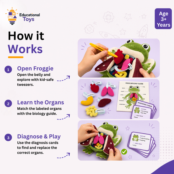 Frog Dissection Learning Kit